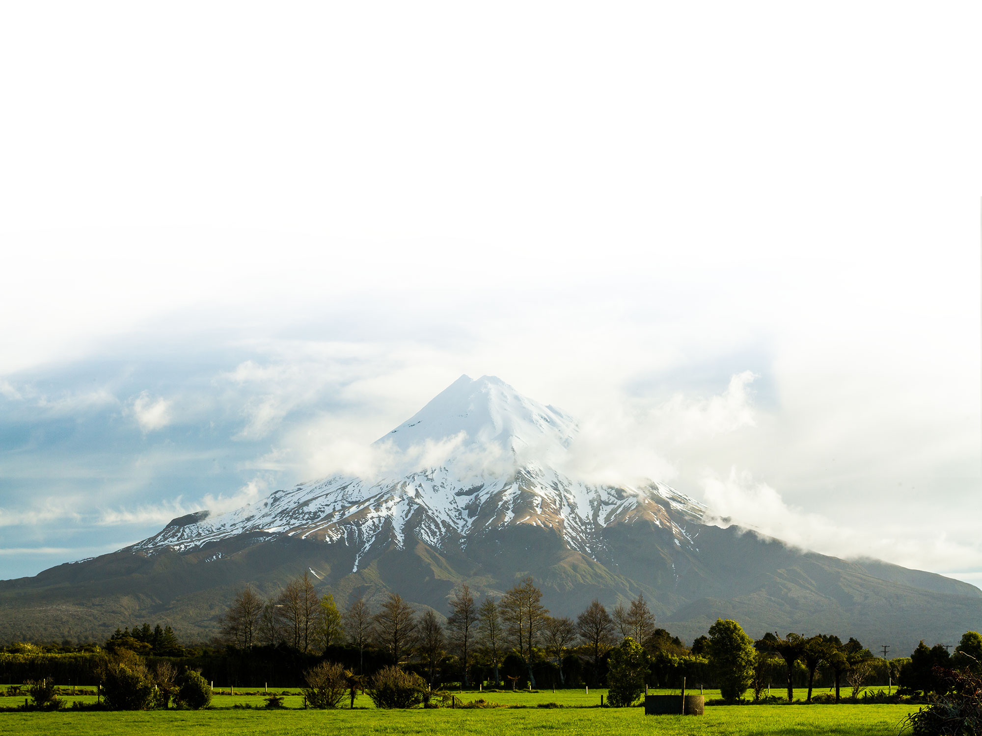 The Taranaki Story